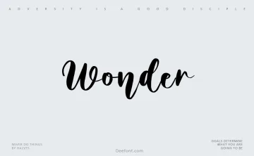 Wonder Font