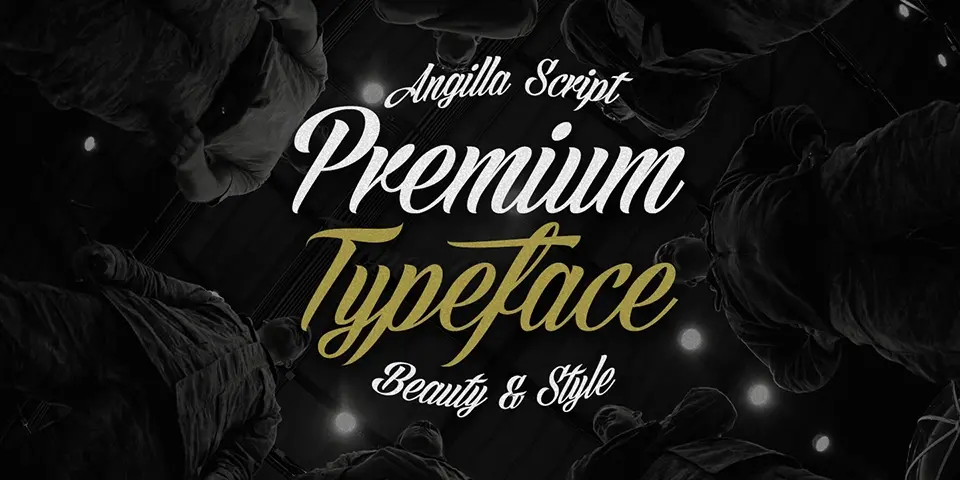 Angilla Script Font