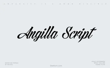 Angilla Script Font