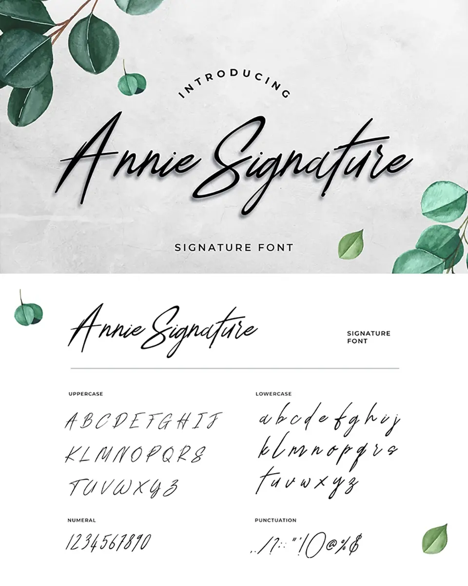 Annie Signature Font