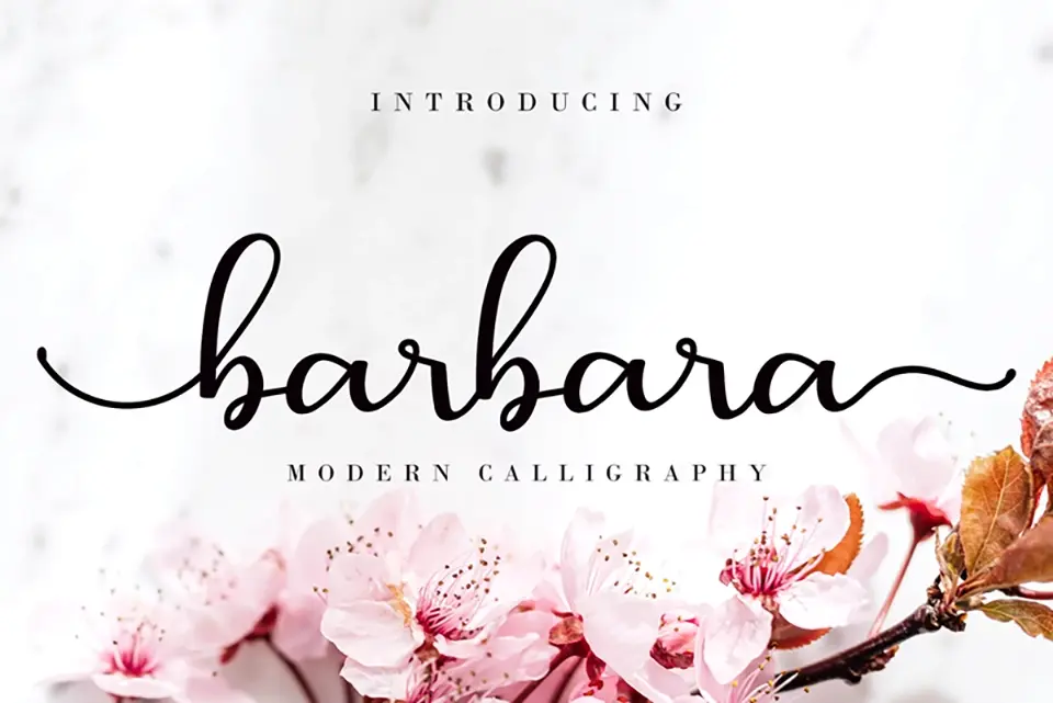 Barbara Calligraphy Font