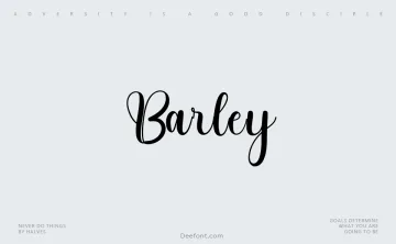 Barley Font