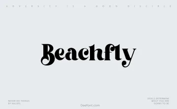 Beachfly Font