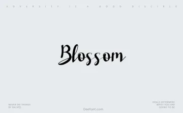 Blossom Script Font