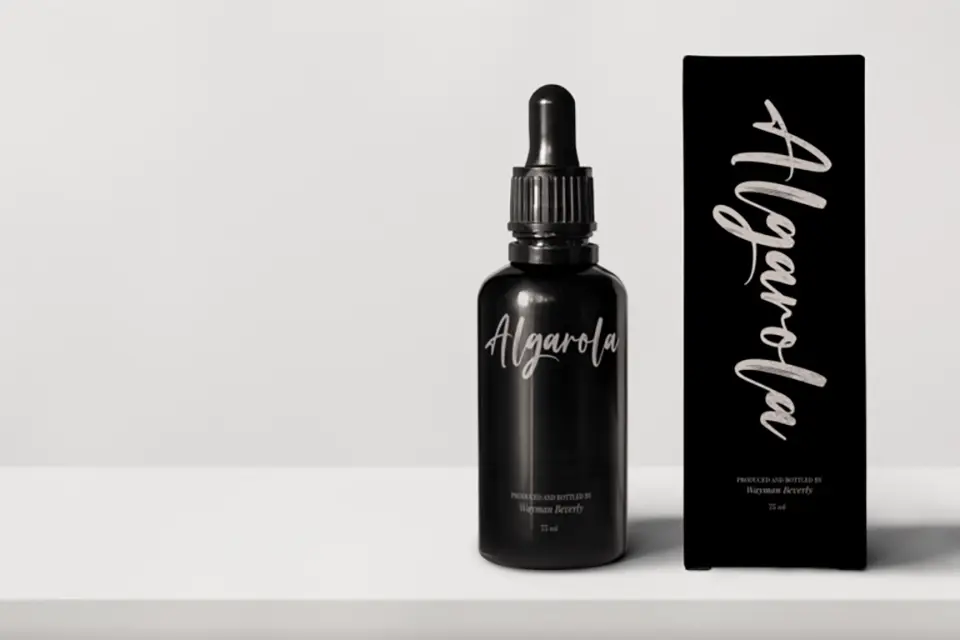 Brush Signature Font