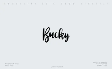 Bucky Font