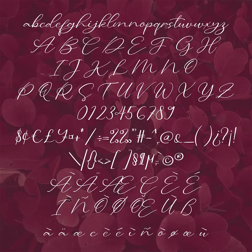 Calligraphy Font
