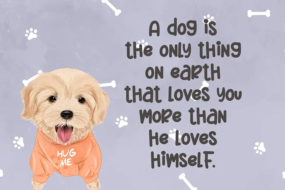 Christmas Sheep Font