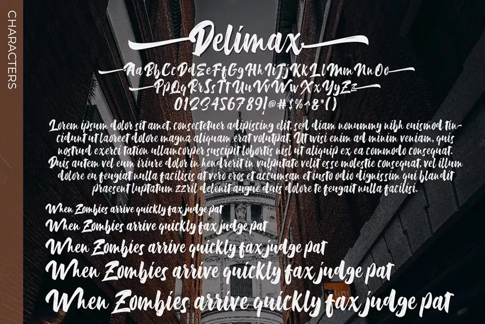Delimax Font
