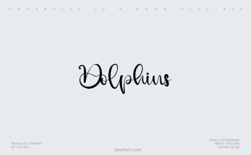 Dolphins Font
