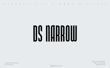DS Narrow Font