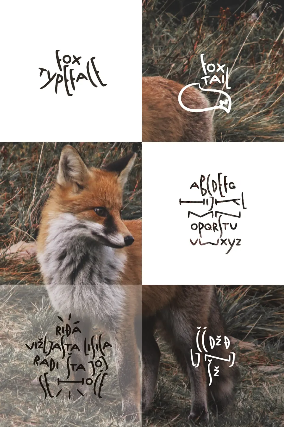 Fox Typeface Font