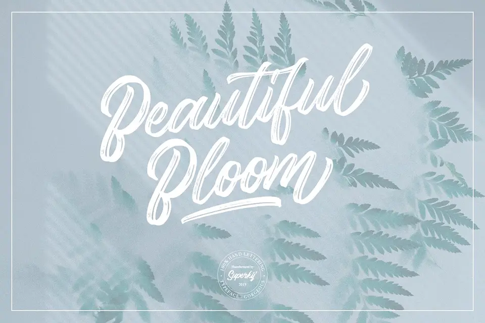 Gorgeous Script Font