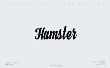 Hamster Font