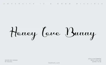 Honey Love Bunny Font