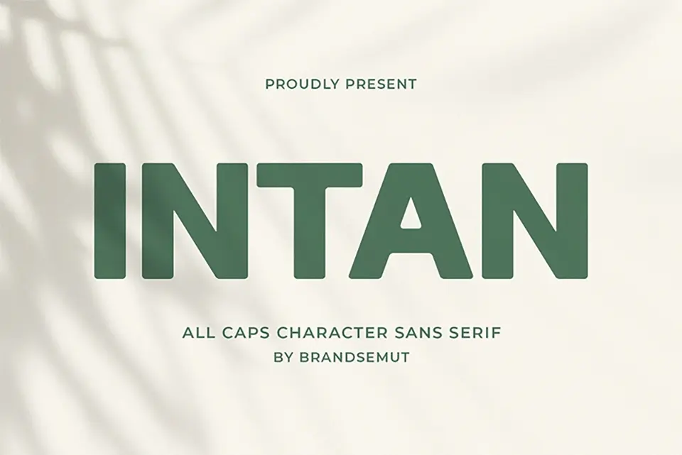 Intan Font