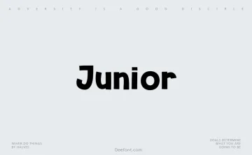 Junior Font