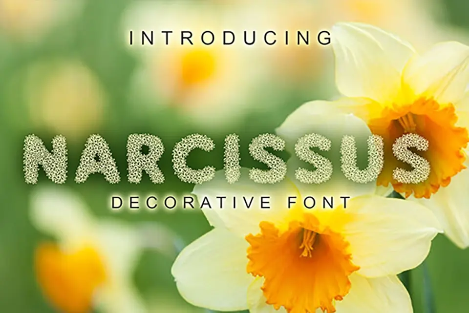 Narcissus Font