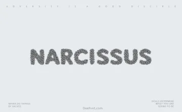 Narcissus Font