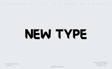 New Type Font