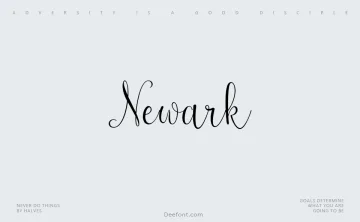 Newark Font