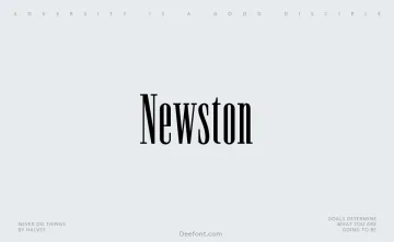 Newston Font