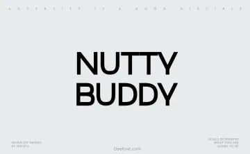 Nutty Buddy Font