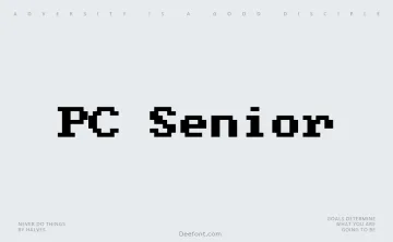 PC Senior Font