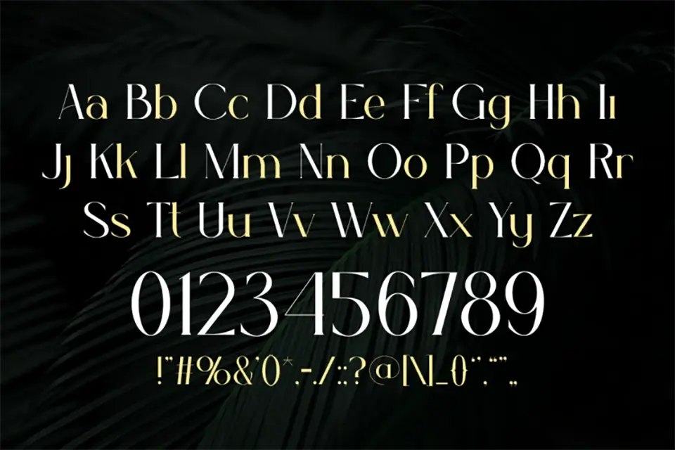 Selina Font