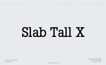 Slab Tall X Font