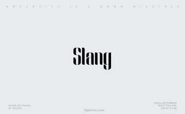 Slang Font