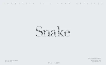 Snake Font