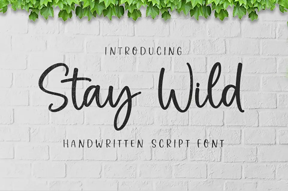 Stay Wild Font