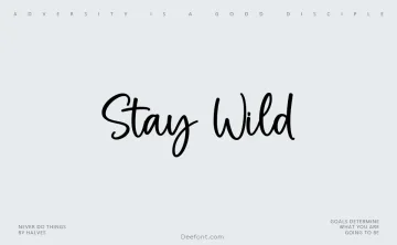 Stay Wild Font