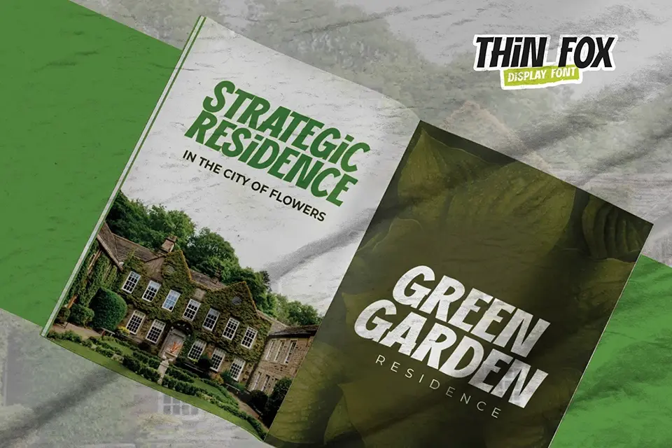 Thin Fox Font