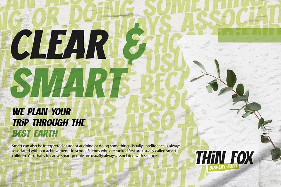 Thin Fox Font