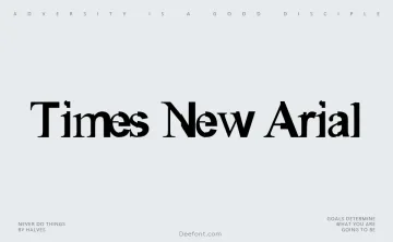 Times New Arial Font