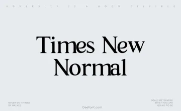 Times New Normal Font