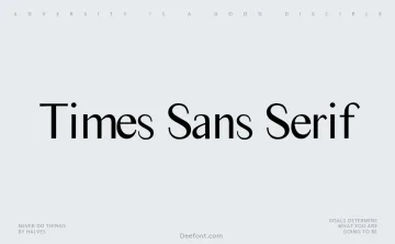 Times Sans Serif Font