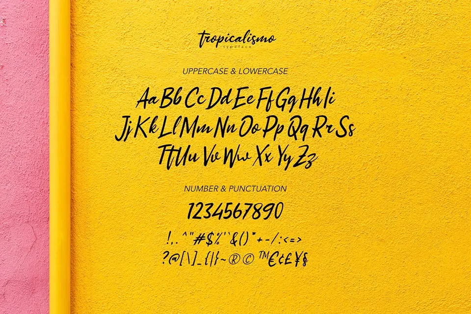 Tropicalismo Font