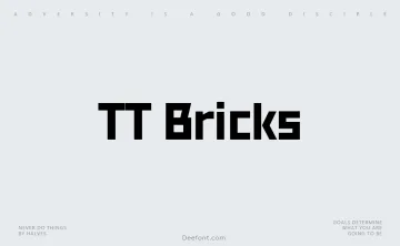 TT Bricks Font Family