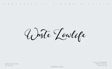 Waste Lowlife Font