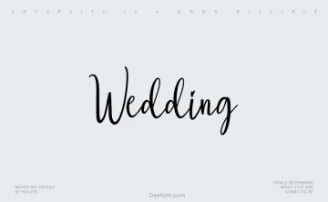 Wedding Script Typeface
