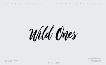 Wild Ones Font