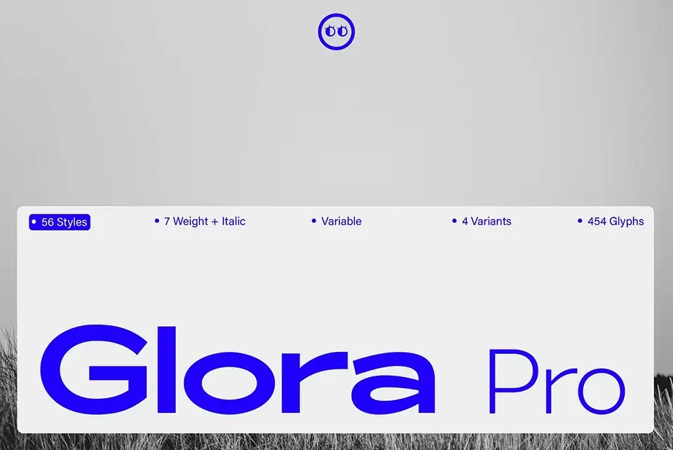 ZT Glora Pro Font