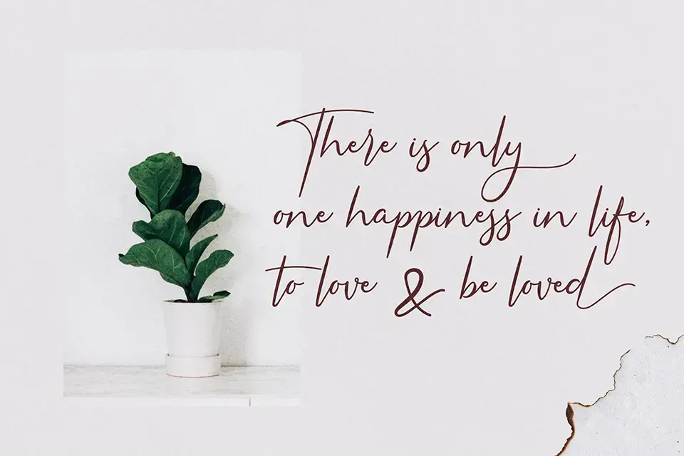 Americans Classy Font