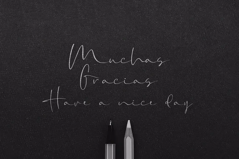 Amillia Rochete Font