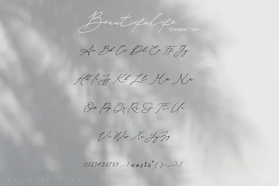 An Either Lifetime Font