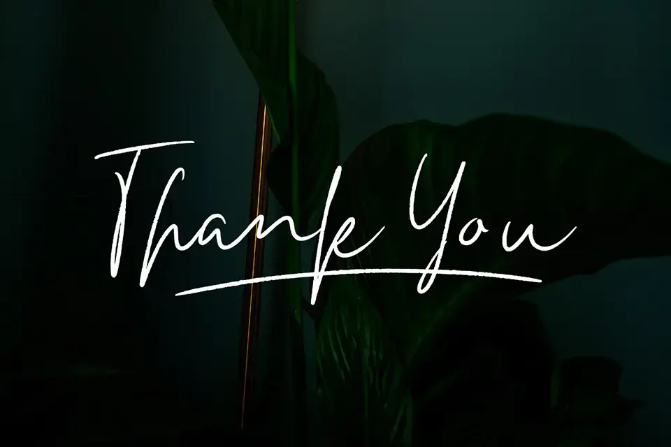 Anderson Signature Font