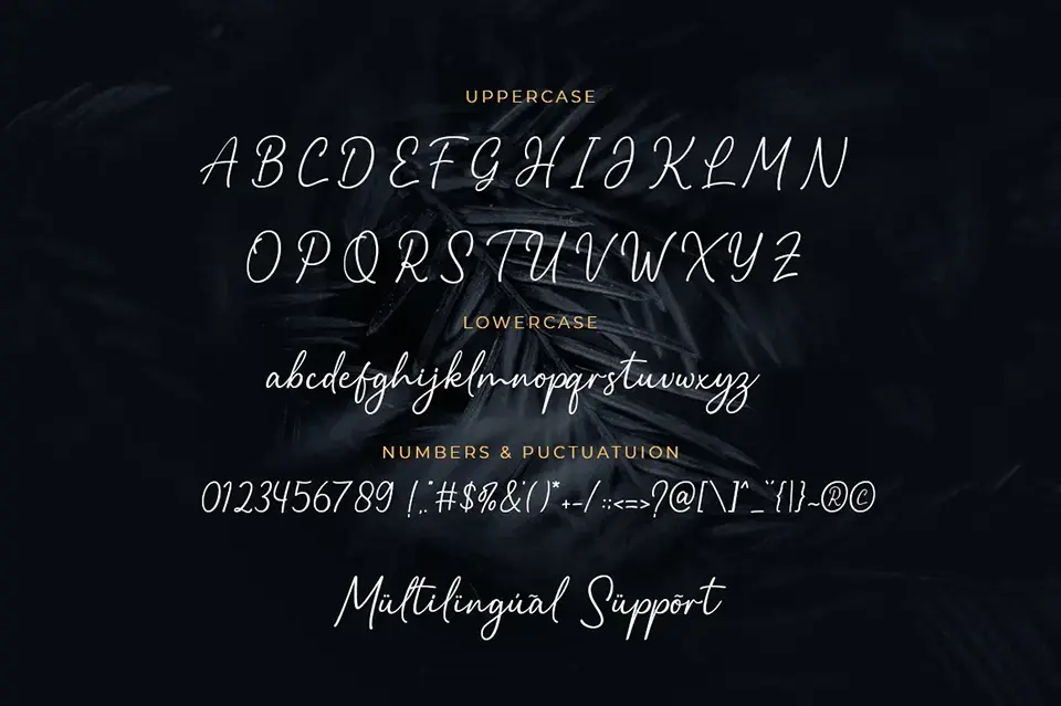 Balista Font